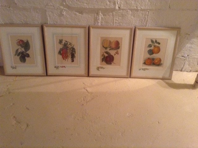 Framed Fruit Prints in Arts & Collectibles in City of Toronto