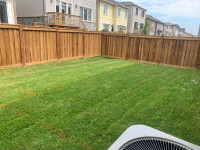 Grass cutting Services - Starting at $30