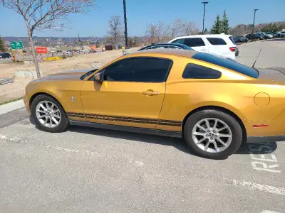 2010 Ford Mustang for Sale