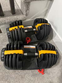 Adjustable dumbbells and bench , barely used 