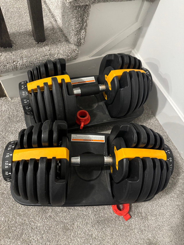 Adjustable dumbbells and bench , barely used  in Exercise Equipment in Ottawa