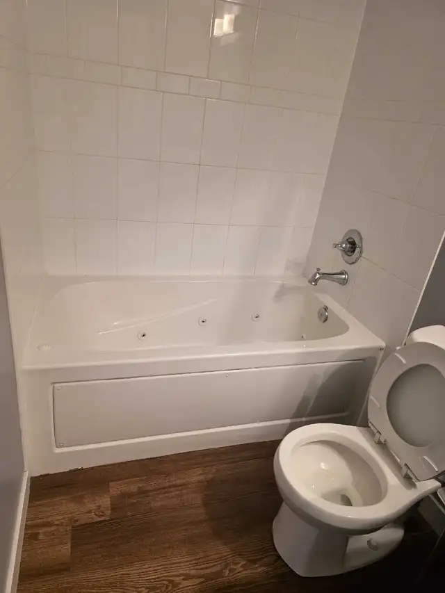 house cleaner available 64840284068993121