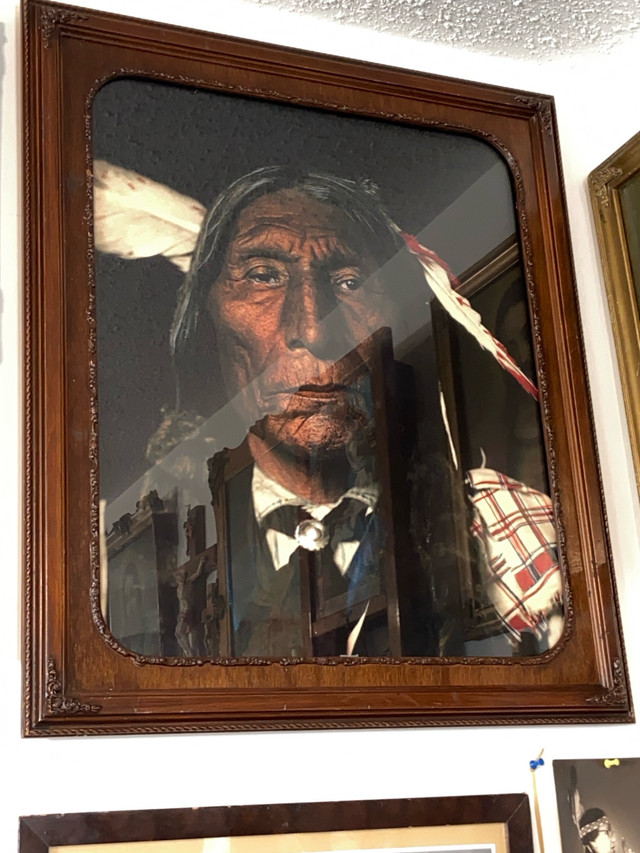 Large Chief Wolf Robe photo in Other in Calgary