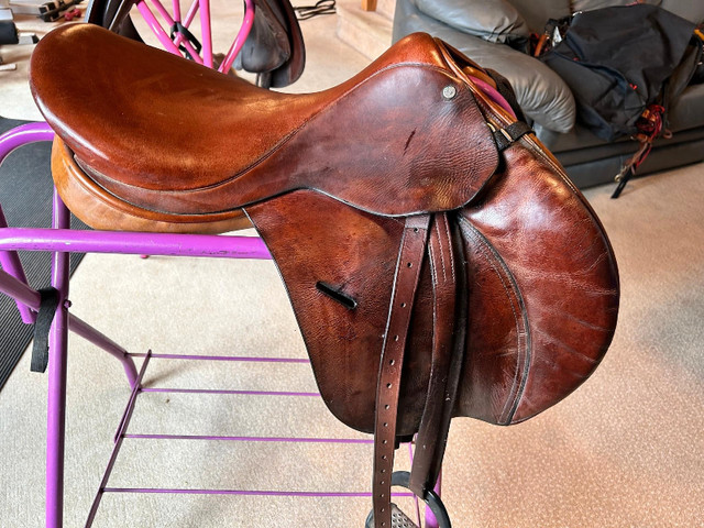 Stackhouse Saddlery Jump saddle 16.5” Seat in Equestrian & Livestock Accessories in Oshawa / Durham Region