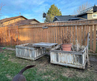 FREE raised garden beds