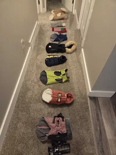 Multiple dog coats, for a small dog. Were worn by a Maltese. $5 each. Located south side.