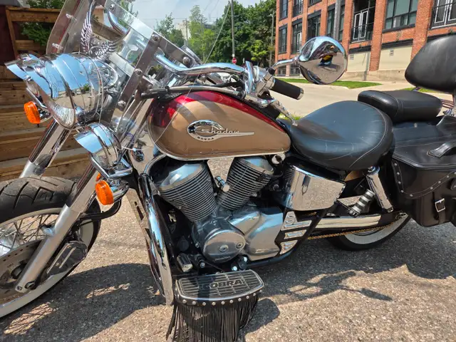 2000 Honda Shadow 750 ACE in Street, Cruisers & Choppers in Kitchener / Waterloo - Image 6