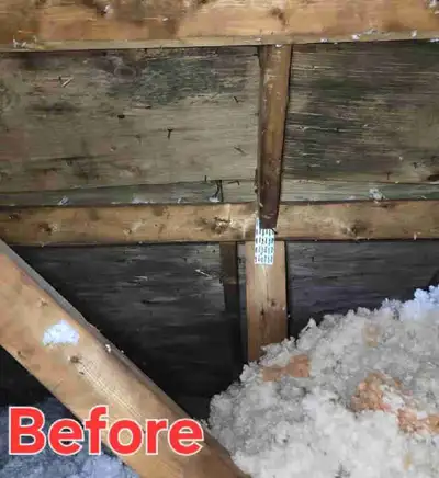 Mould Removal Water Damage Restoration Scarborough Toronto Mould is notorious for destroying buildin...