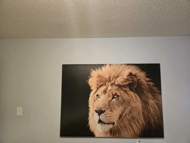 large wall picture in Home Décor & Accents in Ottawa - Image 3