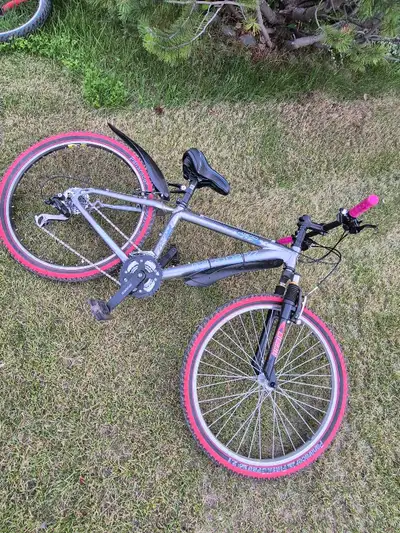 Trek 4300 Mountain  Bike , View more