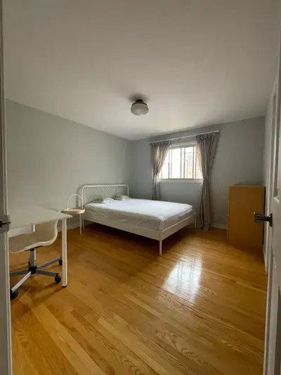 Looking for a roommate
