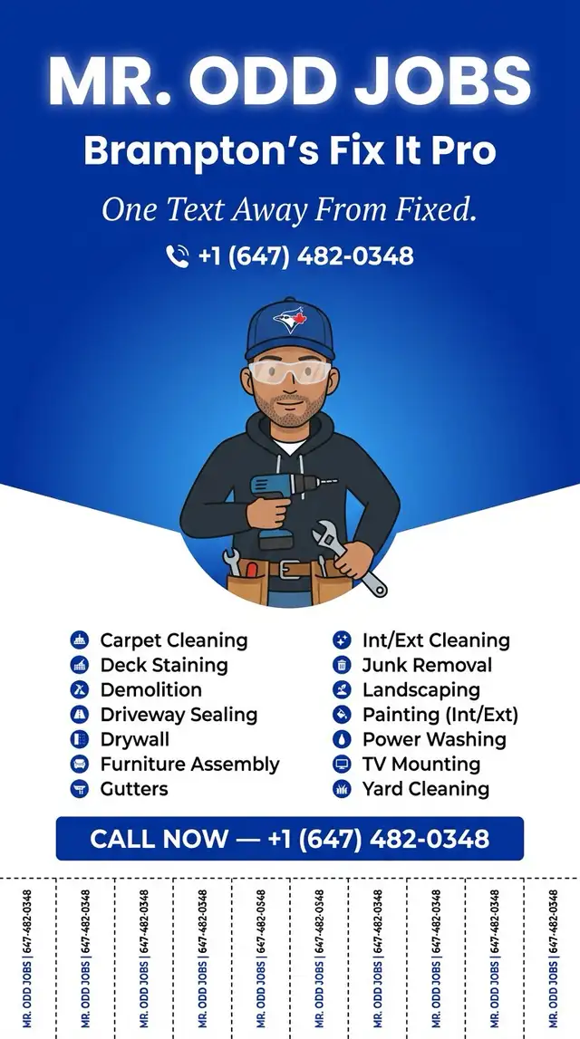 Mr odd jobs