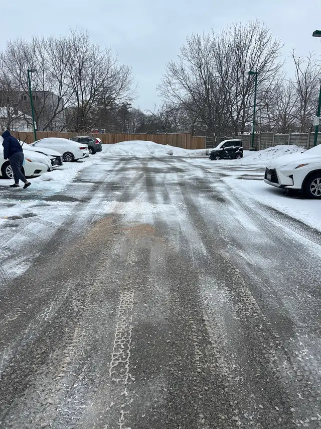 Fall clean ups  /snow removal 563808872159651842