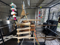 Bird cage with wooden house, bowls, ropes, toys……