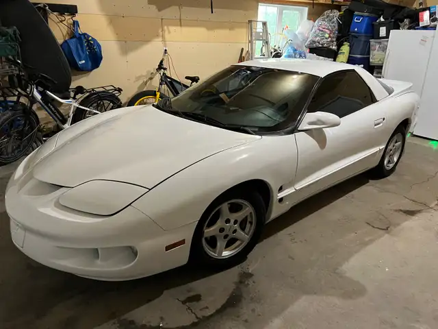 beautiful 98 firebird576046251315056648