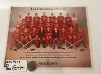 1955–56 Molson Montréal Canadiens 8 x 10 Team photo Hard to Find