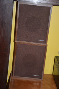 2 Realistic Stereo Speakers