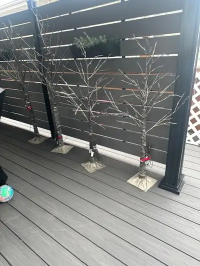 Outdoor Lit Trees, Voir plus