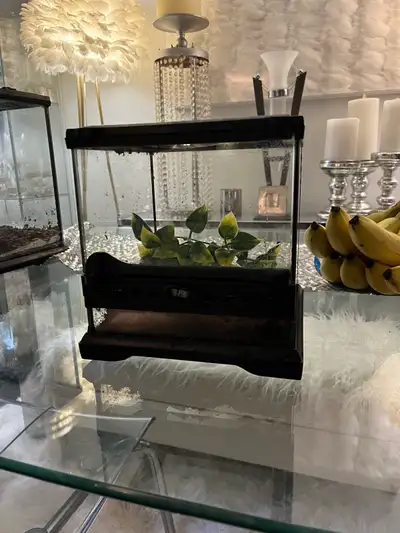 Locking Exo terra 8x8x8 cube terrarium , View more