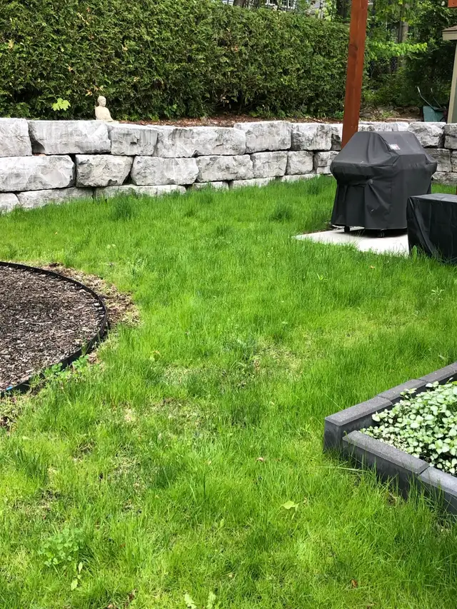 Fall Raking & Cleanup (Grade 11 Student)