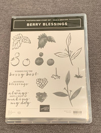 NEW Stampin’ Up! Berry Blessings stamp set
