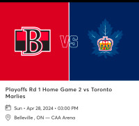 Senators vs Marlies Game 3 (Home Game 2)