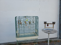 cage pour perroquet