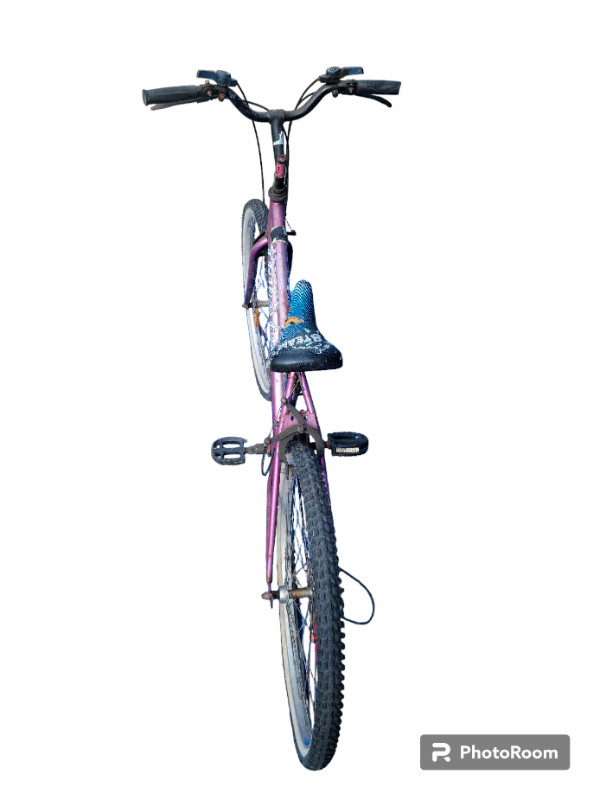 Triumph Daser bike in Hobbies & Crafts in St. Albert - Image 4