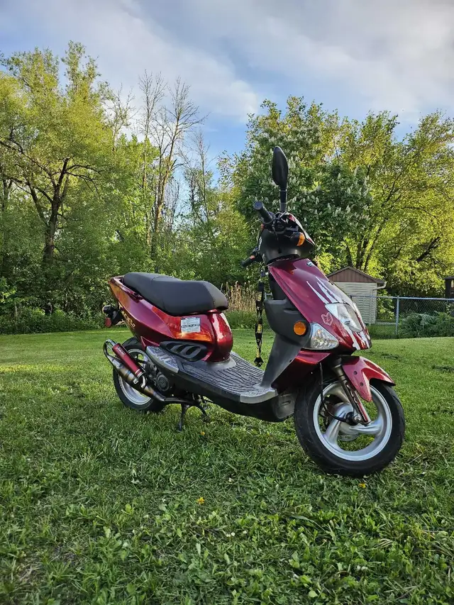 2005 PGO T-REX 50 in Scooters & Pocket Bikes in Laval / North Shore - Image 3