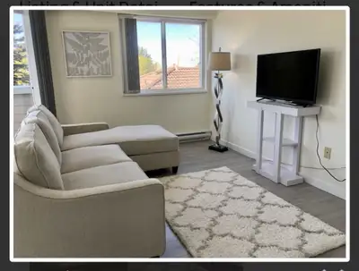 FURNISHED, Bright 1Bdrm Condo - Avail Sept