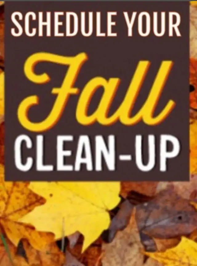 ISO of Running Vehicle! in Other in Red Deer - Image 10