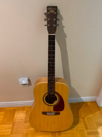 Norman B20 Acoustic Guitar