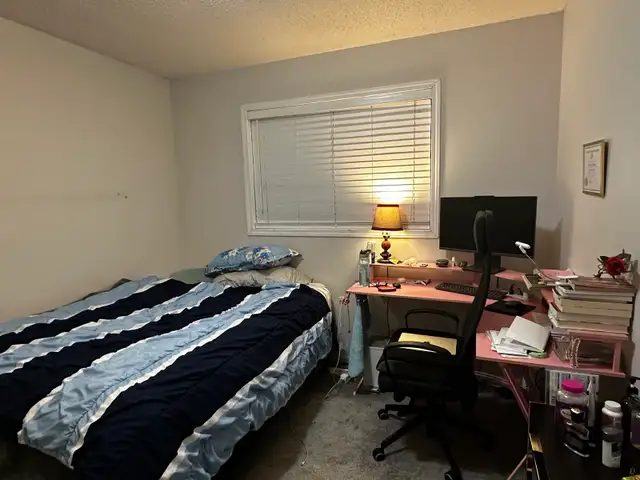 Looking for a Roommate