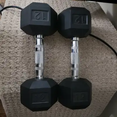 12 lb hand weights