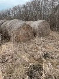 Bales for sale