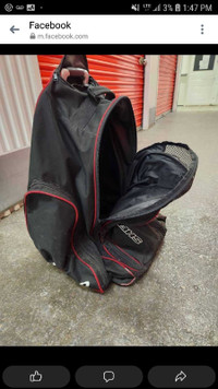 Sherwood Hockey Bag