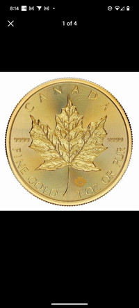 1 oz Gold Coin 2024 Canadian Maple Leaf