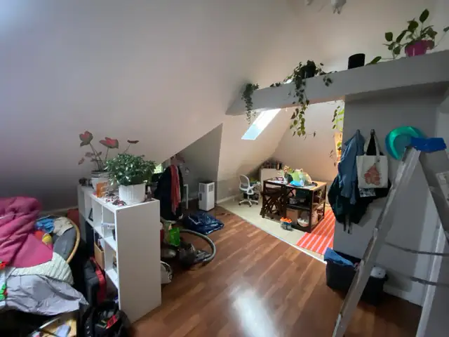 Photo 9