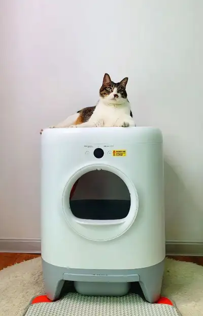Automatic cat litter box, View more
