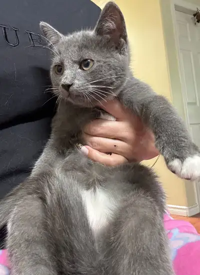 SWEET RUSSIAN BOY mix - with Vaccine, View more