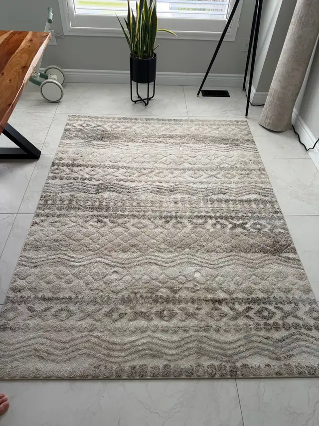 5’3” x 7’ Area Rug For Sale