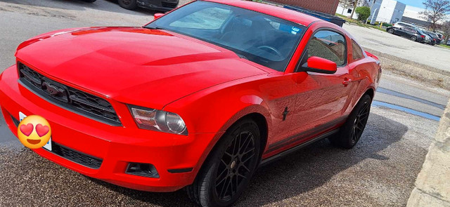 MUSTANG for sale  in Cars & Trucks in Markham / York Region - Image 3