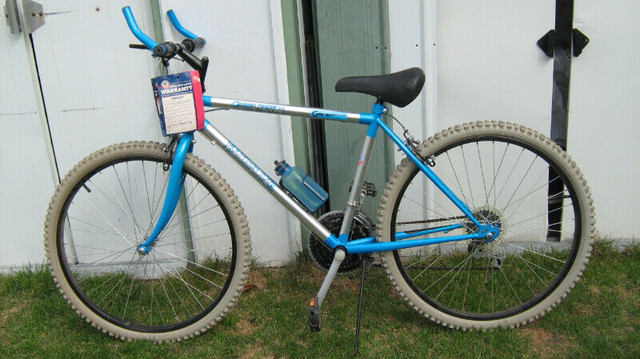 Mountain bikes kijiji deals