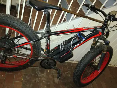 EWOOK Electric Bike, View more