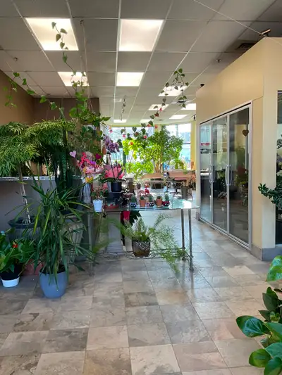 Beautiful, fully operational "turnkey" flower shop for sale in Montreal . Stable business with a loy...