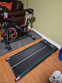 Spin bike and walking treadmill