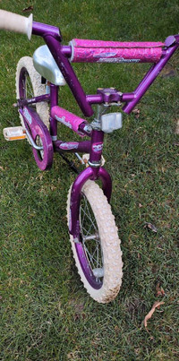 Dream Dazzler 16 Inch Girl bike