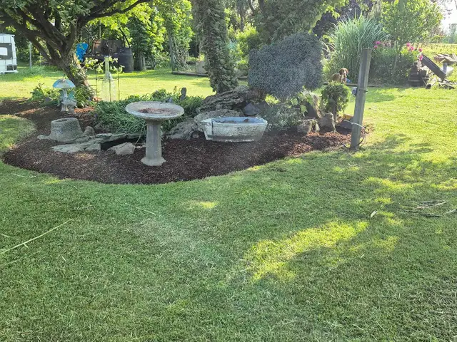 spring yard clean ups426574696552212482
