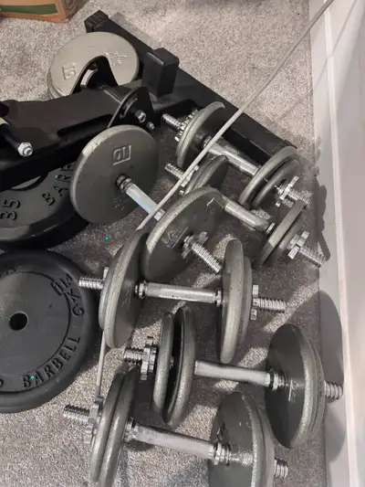 Weights, View more