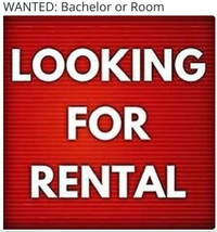 Wanted: Room/Bachelor/Basement For Rent